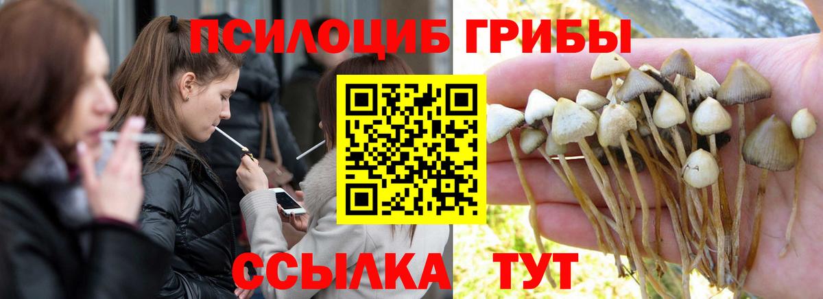Галлюциногенные грибы прущие грибы  Вход с VPN  Нурлат  Псилоцибиновые грибы прущие грибы 